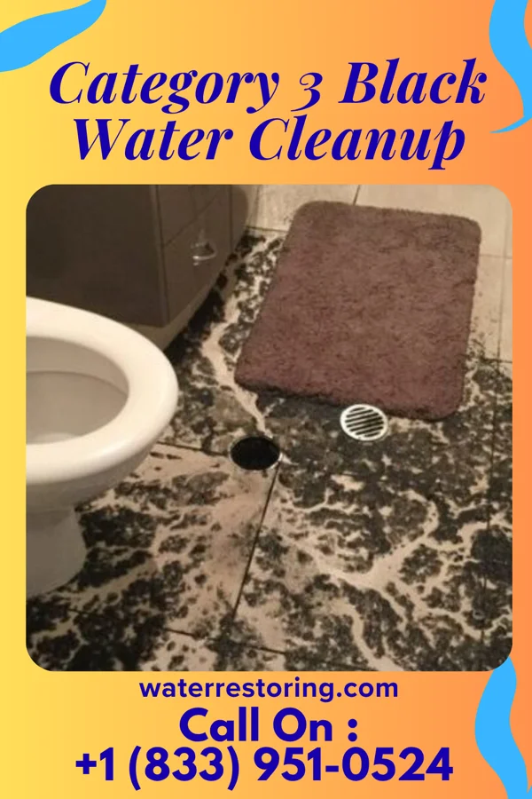 Category 3 Black Water Cleanup in Hillside Lake, NY
