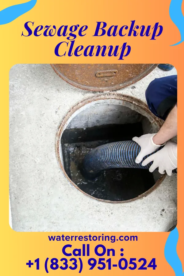 Sewage Backup Cleanup in Hillside Lake, NY