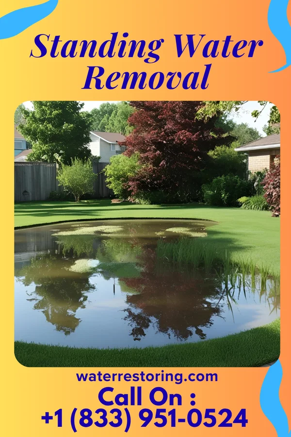 Standing Water Removal in Hillside Lake, NY